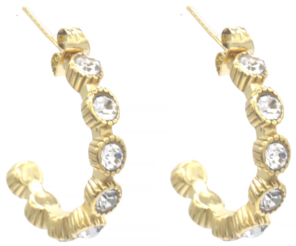 B-E4.3 E2457-031G S. Steel Earrings Crystals 2.5cm